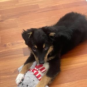 Meet your Posher, Ana